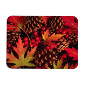 'Autum Beauty' Flexibele magneet (Horizontaal)