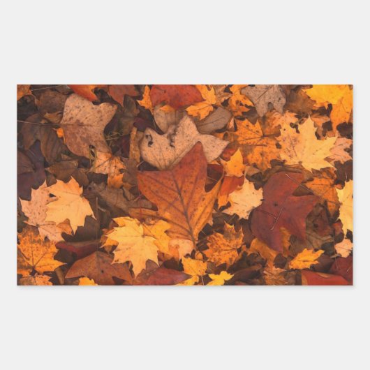 Autum Leaves Rechthoekige Sticker (Voorkant)