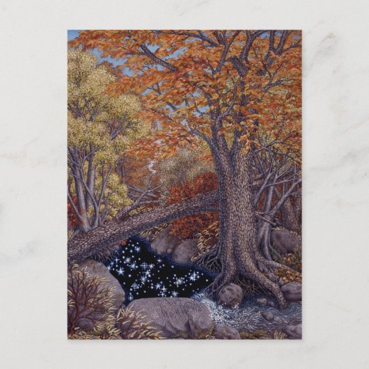 Autum Spring Briefkaart (Voorkant)