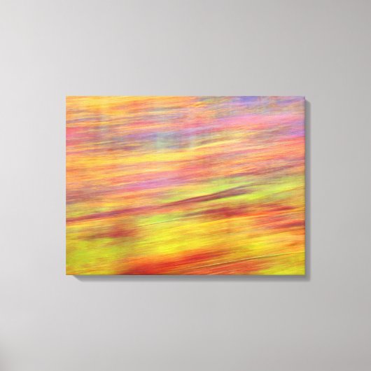 Autumn Abstract Canvas Print (Voorkant)
