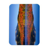 Autumn Adirondack Mountains | New York Magneet (Verticaal)