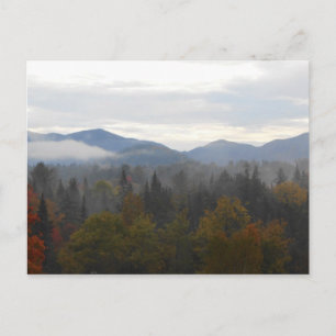Autumn Adirondacks Trees Scene Landschap Briefkaart