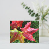 Autumn Arrives Briefkaart (Staand voorkant)