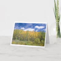 Autumn Aspen Glory Note kaart