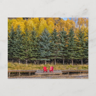 Autumn Aspens Briefkaart