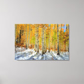 Autumn Aspens Canvas Afdruk (Voorkant)