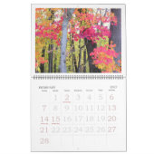 "AUTUMN BEAUTY" 2025 CALENDRIER (Feb 2027)