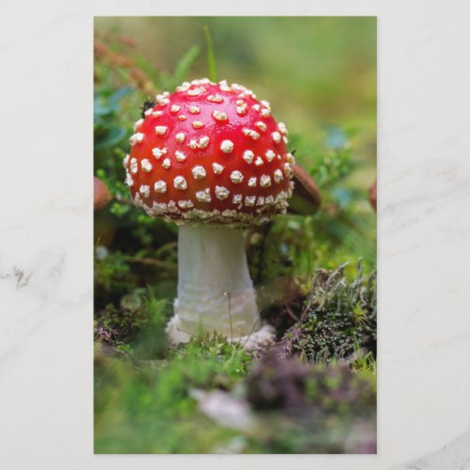 Autumn Beauty Briefpapier (Voorkant)