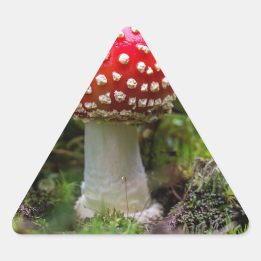 Autumn Beauty Driehoek Sticker (Voorkant)