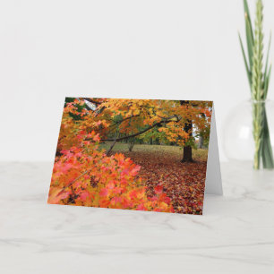 Autumn Beauty Feestdagen Kaart