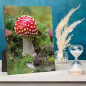 Autumn Beauty Fotoplaat (Zijkant)