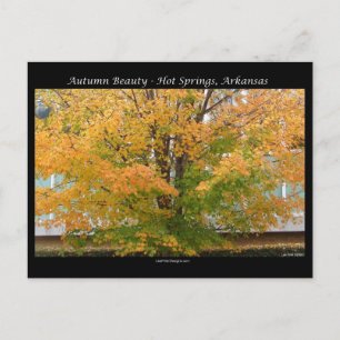 Autumn Beauty Hot Springs, Arkansas Apparel Gifts Briefkaart
