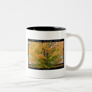Autumn Beauty Hot Springs, Arkansas Apparel Gifts Tweekleurige Koffiemok
