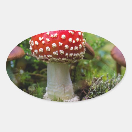 Autumn Beauty Ovale Sticker (Voorkant)