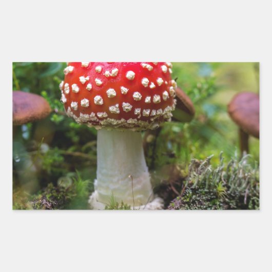 Autumn Beauty Rechthoekige Sticker (Voorkant)