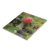 Autumn Beauty Tegeltje (Zijkant)