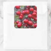 Autumn Berries Vierkante Sticker (Tas)
