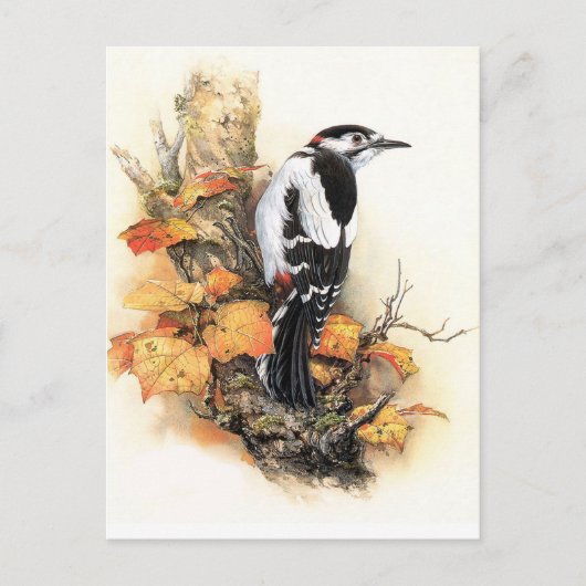 Autumn Bird Briefkaart (Voorkant)