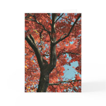 AUTUMN (blanco kaart)