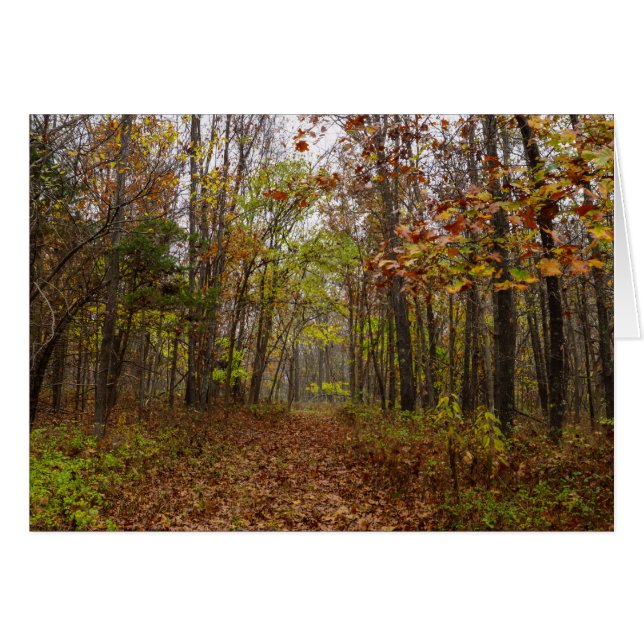 Autumn Bliss (Voorkant Horizontaal)