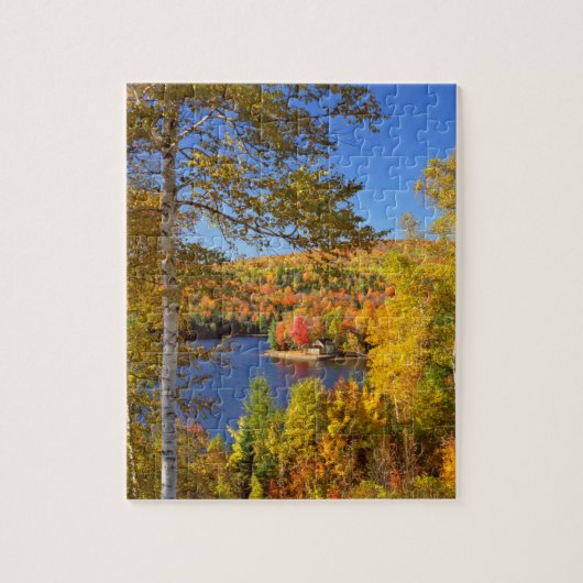 Autumn-boomlandschap, Maine Legpuzzel (Verticaal)