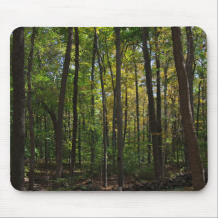 Autumn Bossen Mousepad Muismat