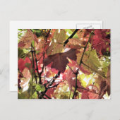 AUTUMN BRIEFKAART (Voorkant / Achterkant)