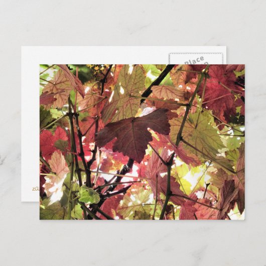 AUTUMN BRIEFKAART (Voorkant / Achterkant)