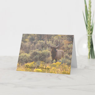 Autumn Bull Elk Custom Happy Birthday Kaart