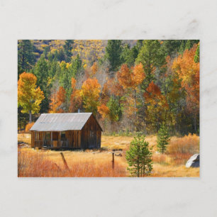 Autumn Cabin Briefkaart