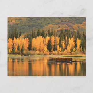 Autumn Calm Briefkaart