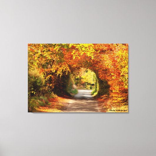 Autumn, Canvas Print, Yellow Bog Kilcullen Afdruk (Voorkant)