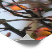 Autumn Cardinal Poster (Hoek)