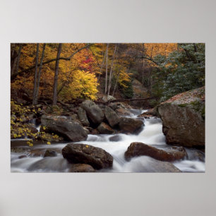 Autumn Cascade Print