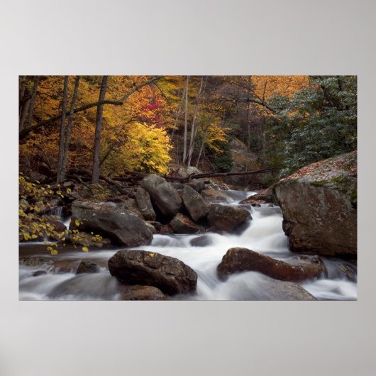 Autumn Cascade Print (Voorkant)