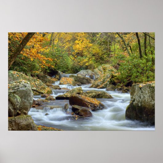 Autumn Cascade Print (Voorkant)