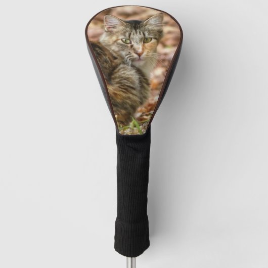 Autumn Cat Golfheadcover (Voorkant)