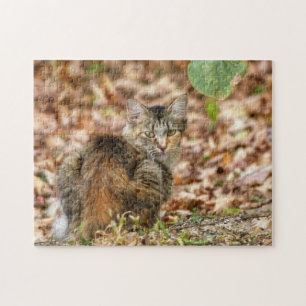 Autumn Cat Legpuzzel
