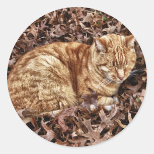 Autumn Cat Ronde Sticker