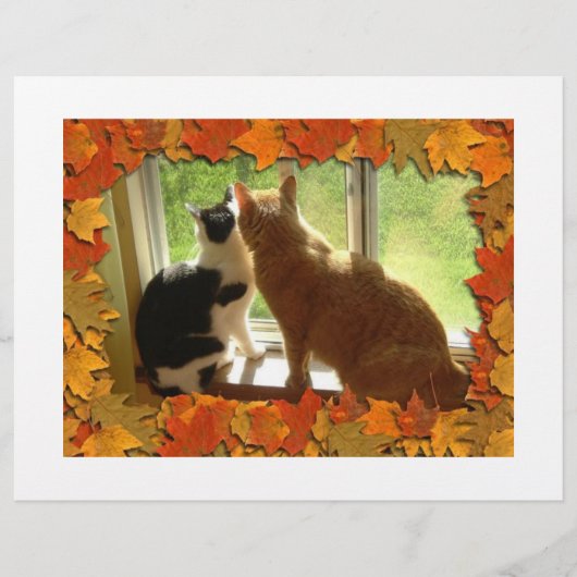 Autumn Cats Flyer (Voorkant)