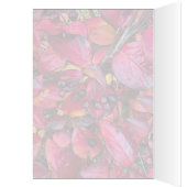 Autumn Chokecherries - 5" x 7" Art Kaart (Binnen (Links))