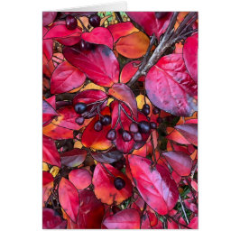 Autumn Chokecherries - 5" x 7" Art Kaart