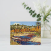 Autumn Colorado Mountain Stream Briefkaart (Staand voorkant)