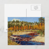 Autumn Colorado Mountain Stream Briefkaart (Voorkant / Achterkant)