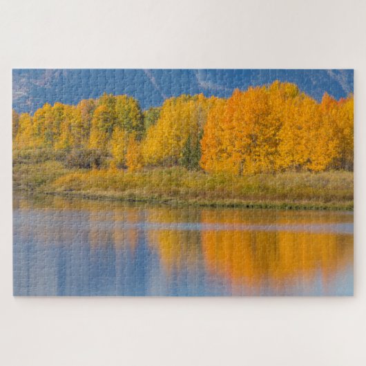 Autumn Colored Aspen Trees Legpuzzel (Horizontaal)