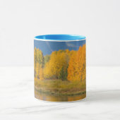 Autumn Colored Aspen Trees Mok (Midden)