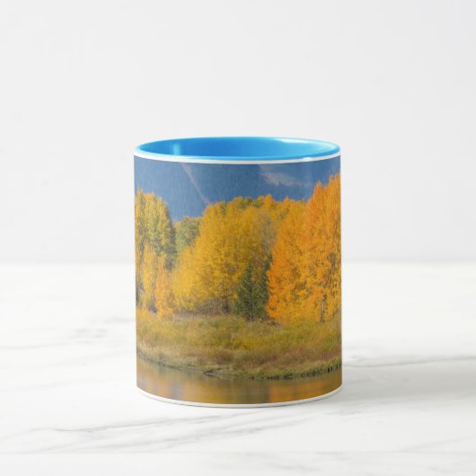 Autumn Colored Aspen Trees Mok (Midden)