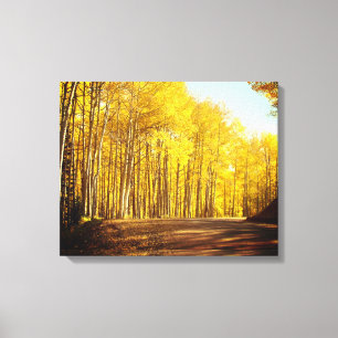 Autumn Colors Canvas afdrukken