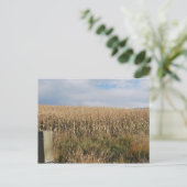 Autumn Corn Harvest Briefkaart (Staand voorkant)