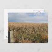 Autumn Corn Harvest Briefkaart (Voorkant / Achterkant)